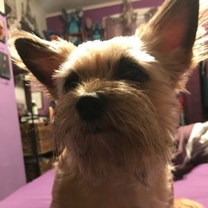 Meet your Posher, Tiffany